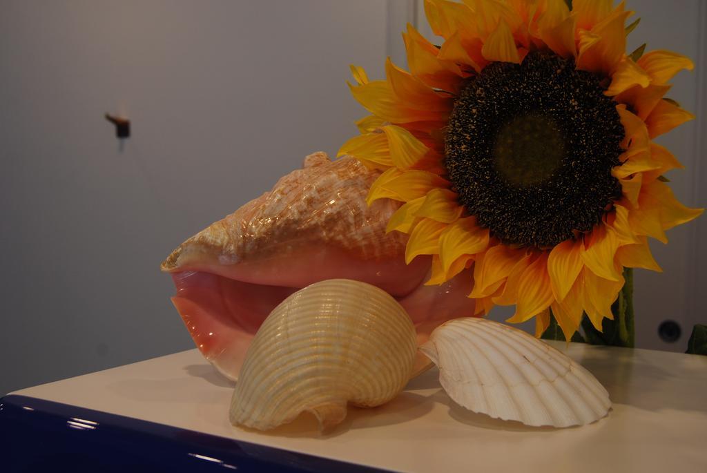 Residence Abruzzo Resort Tortoreto Ngoại thất bức ảnh